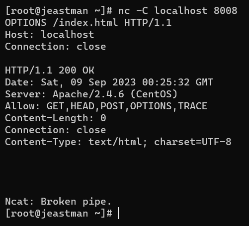 output of netcat command