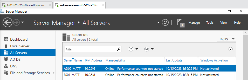 Screenshot of both servers in the admin panel